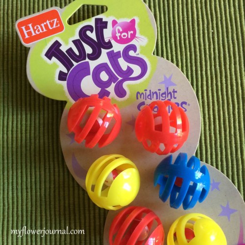 cat balls with bells inside