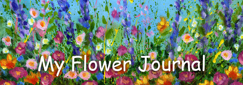 the journal of flower